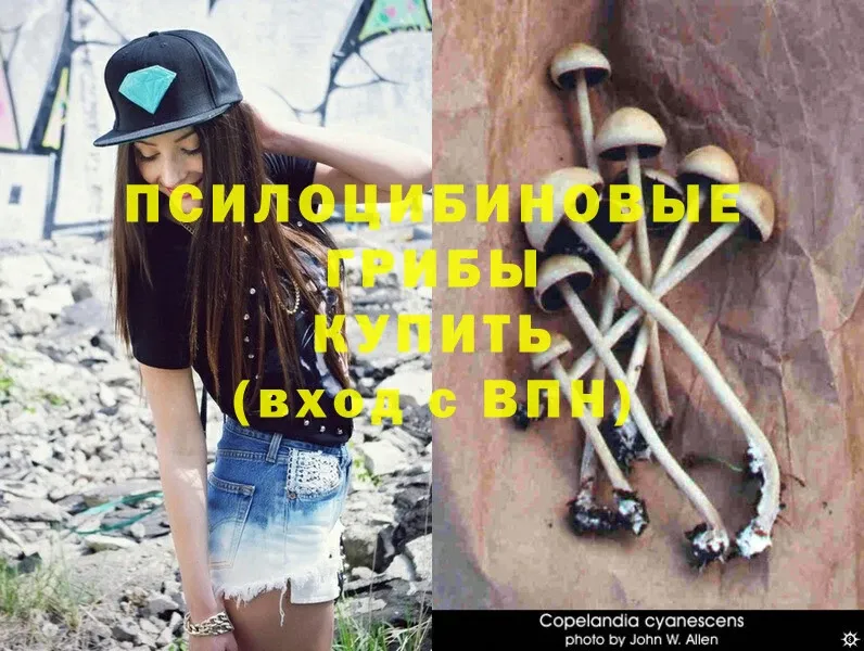 Псилоцибиновые грибы Psilocybe  Джанкой 